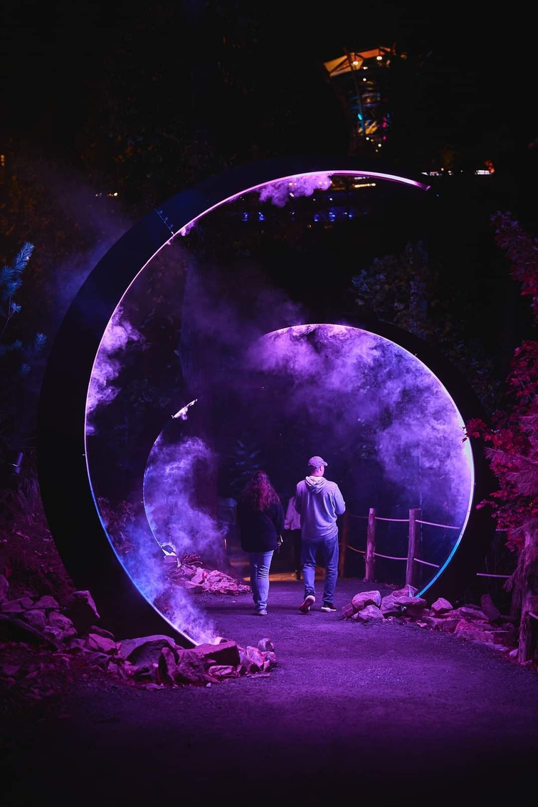 Coins Instagrammable